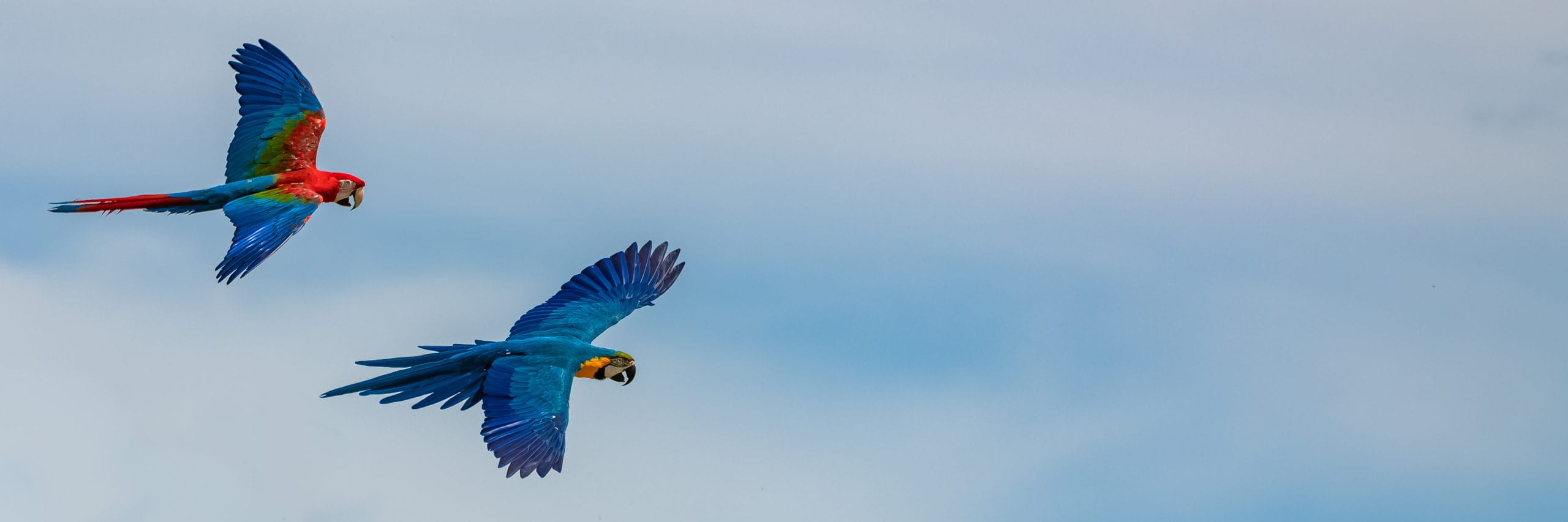 Vehículos de Alquiler en Costa Rica